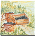 Carrelage - Décoration - Cueillette olive C- Motif - Design - Faïence de Provence à Salernes