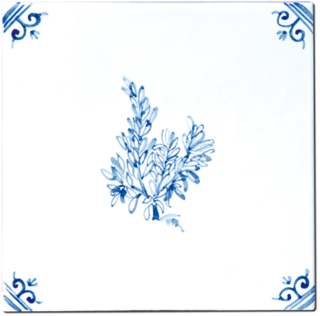 Aromates - Carrelage - Décoration - Delft Provençal- Motif - Design - Faïence