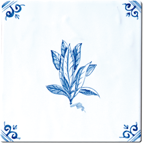 Aromates - Carrelage - Décoration - Delft Provençal- Motif - Design - Faïence